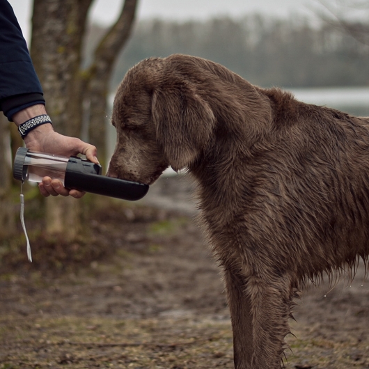 Drinkfles compact Zwart