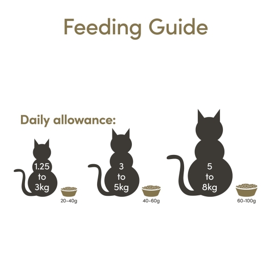 Applaws Cat Dry Adult Chicken & Salmon 400gr