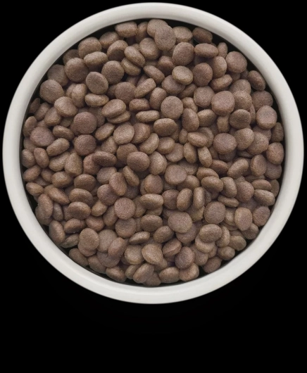 GV-Dog - Fish - Dermatosis - 1KG