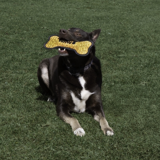 Kong Hond Armor Bone