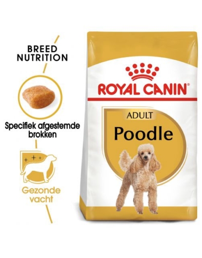RC Poedel 1,5kg