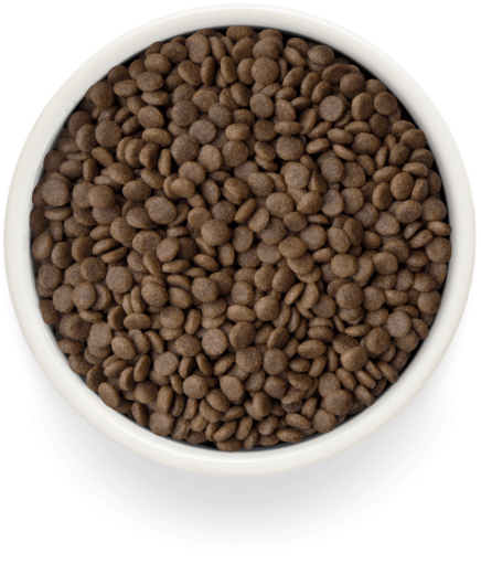 GF-Cat - Fresh Lamb - Adult Sterilized - 2Kg