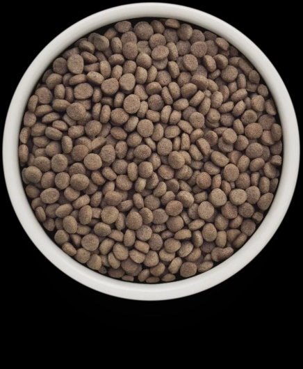 GV-Cat - Fish - Dermatosis - 2KG