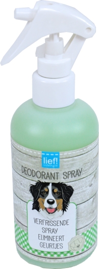 Deodorantspray 250ml Deodorantspray 250ml