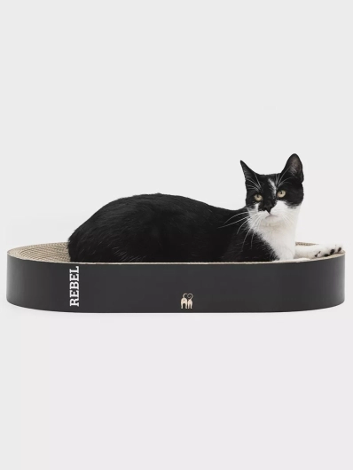 Petrebels Krabkarton Kat - Oliver 61 - Zwart