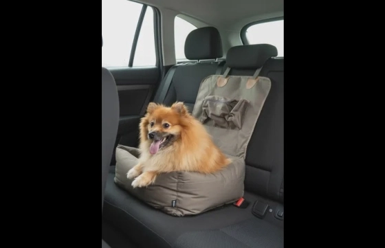 PRE-SALE; Autostoel Kayce Bruin