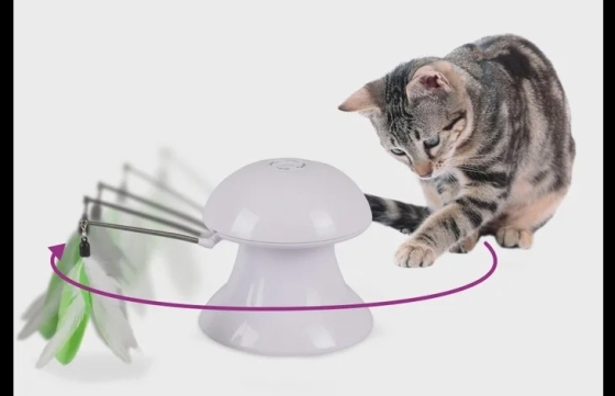 Elektronisch Speelgoed & Laser Alya Wit