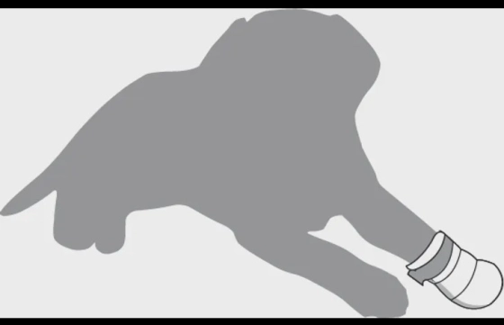 Pootbeschermer Clawi L 11x9,5x3