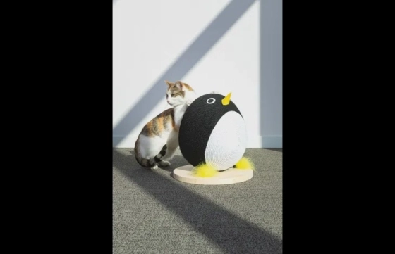 Pengi Pinguin Zwart & Wit
