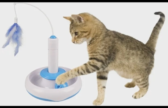 Elektronisch Speelgoed Wassima Ballenbaan met bal Wit