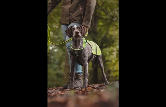 HONDENVEST FLUO 24 CM - HOND 34 CM