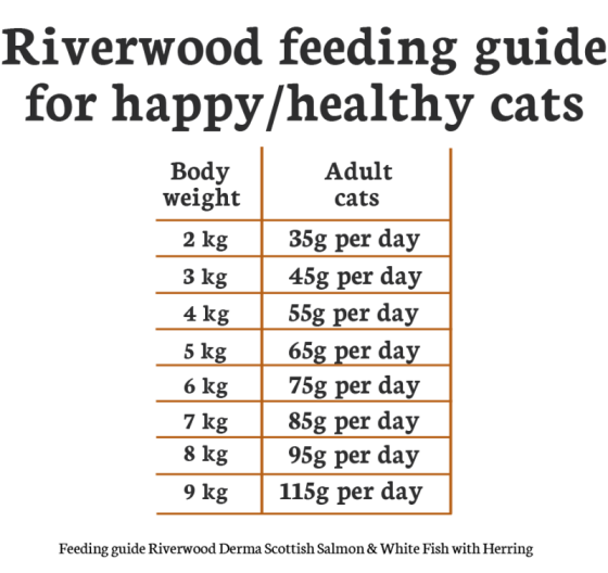 Riverwood Derma Schotse Zalm & Witvis met Haring 2kg
