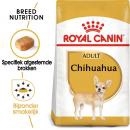 RC Chihuahua 1,5kg RC Chihuahua 1,5kg