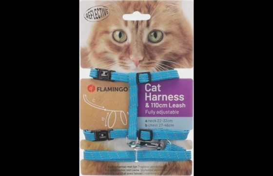 Kat Harnas looplijn Elza blauw
