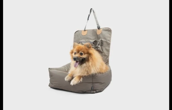 PRE-SALE; Autostoel Kayce Bruin