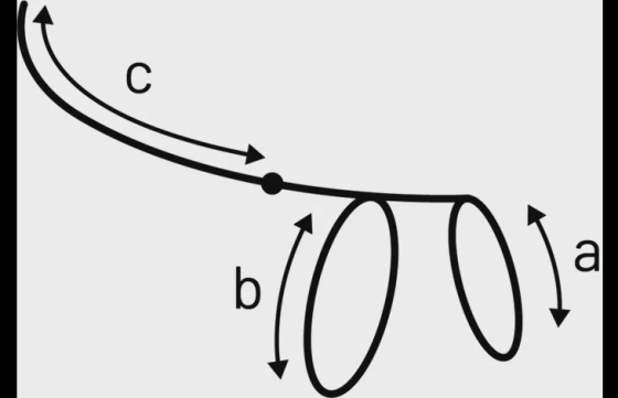 Harnas met looplijn voor kittens Elza Koraalrood