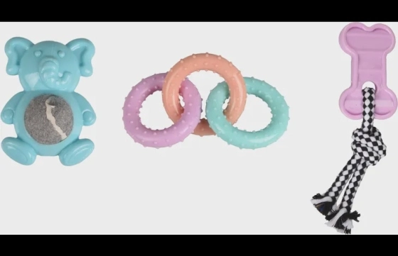 Puppy Loekie Olifant, Been & Ring meerkleurig