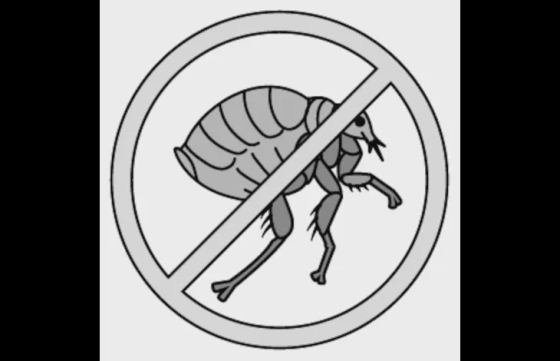 Anti-parasietenhalsband Batali Vlo & teek stop KAT