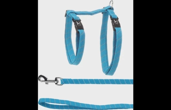Kat Harnas looplijn Elza blauw