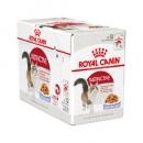RC Intstinctive Wet 85g RC Intstinctive Wet 85g