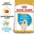 RC Golden Retriever Puppy 3kg