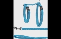Kat Harnas looplijn Elza blauw