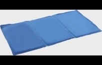 Koelmat Frosty Rechthoekig Blauw XL