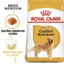 RC Maxi Golden Retriever 12kg