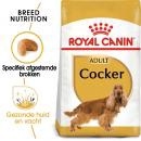 RC Medium Cocker 3kg
