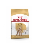 RC Poedel 1,5kg