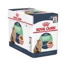 RC Digestive 85g