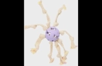 Speelgoed Joanie Bal Octopus Paars