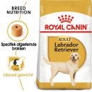 RC Labrador 3kg