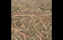 Snack Weidehooi 2,5kg