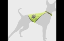 SAFETY VEST M