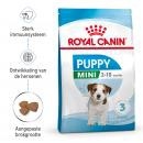 RC - Mini Puppy 800g
