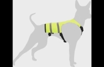 HONDENVEST FLUO 50 CM - HOND 60 CM