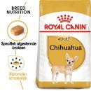 RC Chihuahua 1,5kg