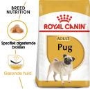 RC Pug 1,5kg