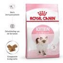 RC Kitten 2kg